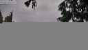 ./images/koeye/fitz-hugh/20250815/fitz-hugh20250815_080012M.jpg