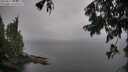 ./images/koeye/fitz-hugh/20250815/fitz-hugh20250815_081010M.jpg