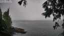 ./images/koeye/fitz-hugh/20250815/fitz-hugh20250815_104511M.jpg