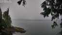 ./images/koeye/fitz-hugh/20250815/fitz-hugh20250815_111011M.jpg