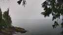 ./images/koeye/fitz-hugh/20250815/fitz-hugh20250815_115509M.jpg