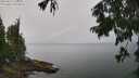 ./images/koeye/fitz-hugh/20250815/fitz-hugh20250815_120511M.jpg