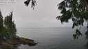 ./images/koeye/fitz-hugh/20250815/fitz-hugh20250815_124511M.jpg