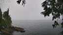 ./images/koeye/fitz-hugh/20250815/fitz-hugh20250815_132508M.jpg