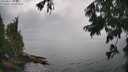 ./images/koeye/fitz-hugh/20250815/fitz-hugh20250815_142508M.jpg