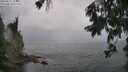 ./images/koeye/fitz-hugh/20250815/fitz-hugh20250815_144510M.jpg