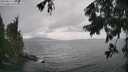 ./images/koeye/fitz-hugh/20250815/fitz-hugh20250815_153511M.jpg
