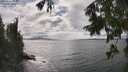 ./images/koeye/fitz-hugh/20250815/fitz-hugh20250815_155010M.jpg