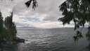 ./images/koeye/fitz-hugh/20250815/fitz-hugh20250815_155509M.jpg
