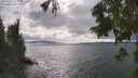 ./images/koeye/fitz-hugh/20250815/fitz-hugh20250815_162510M.jpg