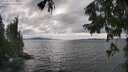./images/koeye/fitz-hugh/20250815/fitz-hugh20250815_163510M.jpg