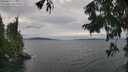 ./images/koeye/fitz-hugh/20250815/fitz-hugh20250815_171010M.jpg