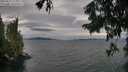 ./images/koeye/fitz-hugh/20250815/fitz-hugh20250815_172007M.jpg