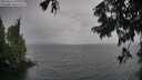 ./images/koeye/fitz-hugh/20250815/fitz-hugh20250815_192009M.jpg