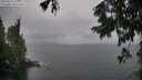 ./images/koeye/fitz-hugh/20250815/fitz-hugh20250815_195010M.jpg