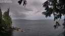 ./images/koeye/fitz-hugh/20250815/fitz-hugh20250815_202509M.jpg