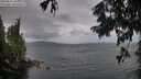 ./images/koeye/fitz-hugh/20250815/fitz-hugh20250815_203009M.jpg