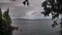 ./images/koeye/fitz-hugh/20250815/fitz-hugh20250815_203508M.jpg