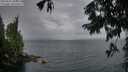 ./images/koeye/fitz-hugh/20250815/fitz-hugh20250815_204509M.jpg