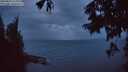 ./images/koeye/fitz-hugh/20250815/fitz-hugh20250815_212509M.jpg