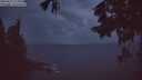 ./images/koeye/fitz-hugh/20250815/fitz-hugh20250815_213508M.jpg