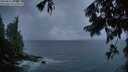 ./images/koeye/fitz-hugh/20250816/fitz-hugh20250816_060510M.jpg