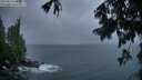 ./images/koeye/fitz-hugh/20250816/fitz-hugh20250816_061508M.jpg