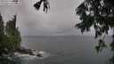 ./images/koeye/fitz-hugh/20250816/fitz-hugh20250816_064510M.jpg