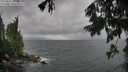 ./images/koeye/fitz-hugh/20250816/fitz-hugh20250816_082508M.jpg