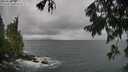 ./images/koeye/fitz-hugh/20250816/fitz-hugh20250816_083012M.jpg