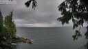 ./images/koeye/fitz-hugh/20250816/fitz-hugh20250816_083508M.jpg