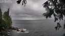 ./images/koeye/fitz-hugh/20250816/fitz-hugh20250816_084010M.jpg