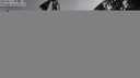 ./images/koeye/fitz-hugh/20250816/fitz-hugh20250816_101010M.jpg