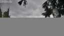 ./images/koeye/fitz-hugh/20250816/fitz-hugh20250816_101510M.jpg