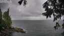 ./images/koeye/fitz-hugh/20250816/fitz-hugh20250816_103012M.jpg