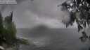 ./images/koeye/fitz-hugh/20250816/fitz-hugh20250816_105511M.jpg