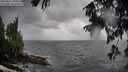 ./images/koeye/fitz-hugh/20250816/fitz-hugh20250816_113508M.jpg
