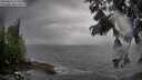 ./images/koeye/fitz-hugh/20250816/fitz-hugh20250816_114511M.jpg
