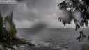 ./images/koeye/fitz-hugh/20250816/fitz-hugh20250816_115510M.jpg