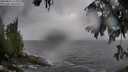 ./images/koeye/fitz-hugh/20250816/fitz-hugh20250816_120012M.jpg