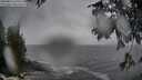 ./images/koeye/fitz-hugh/20250816/fitz-hugh20250816_120510M.jpg