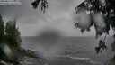 ./images/koeye/fitz-hugh/20250816/fitz-hugh20250816_121009M.jpg