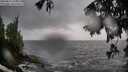 ./images/koeye/fitz-hugh/20250816/fitz-hugh20250816_122510M.jpg