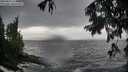 ./images/koeye/fitz-hugh/20250816/fitz-hugh20250816_124511M.jpg