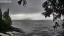 ./images/koeye/fitz-hugh/20250816/fitz-hugh20250816_125010M.jpg