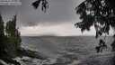 ./images/koeye/fitz-hugh/20250816/fitz-hugh20250816_125510M.jpg