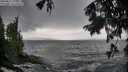 ./images/koeye/fitz-hugh/20250816/fitz-hugh20250816_130012M.jpg