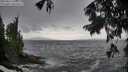 ./images/koeye/fitz-hugh/20250816/fitz-hugh20250816_131010M.jpg