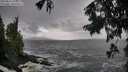 ./images/koeye/fitz-hugh/20250816/fitz-hugh20250816_132510M.jpg