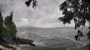 ./images/koeye/fitz-hugh/20250816/fitz-hugh20250816_133510M.jpg